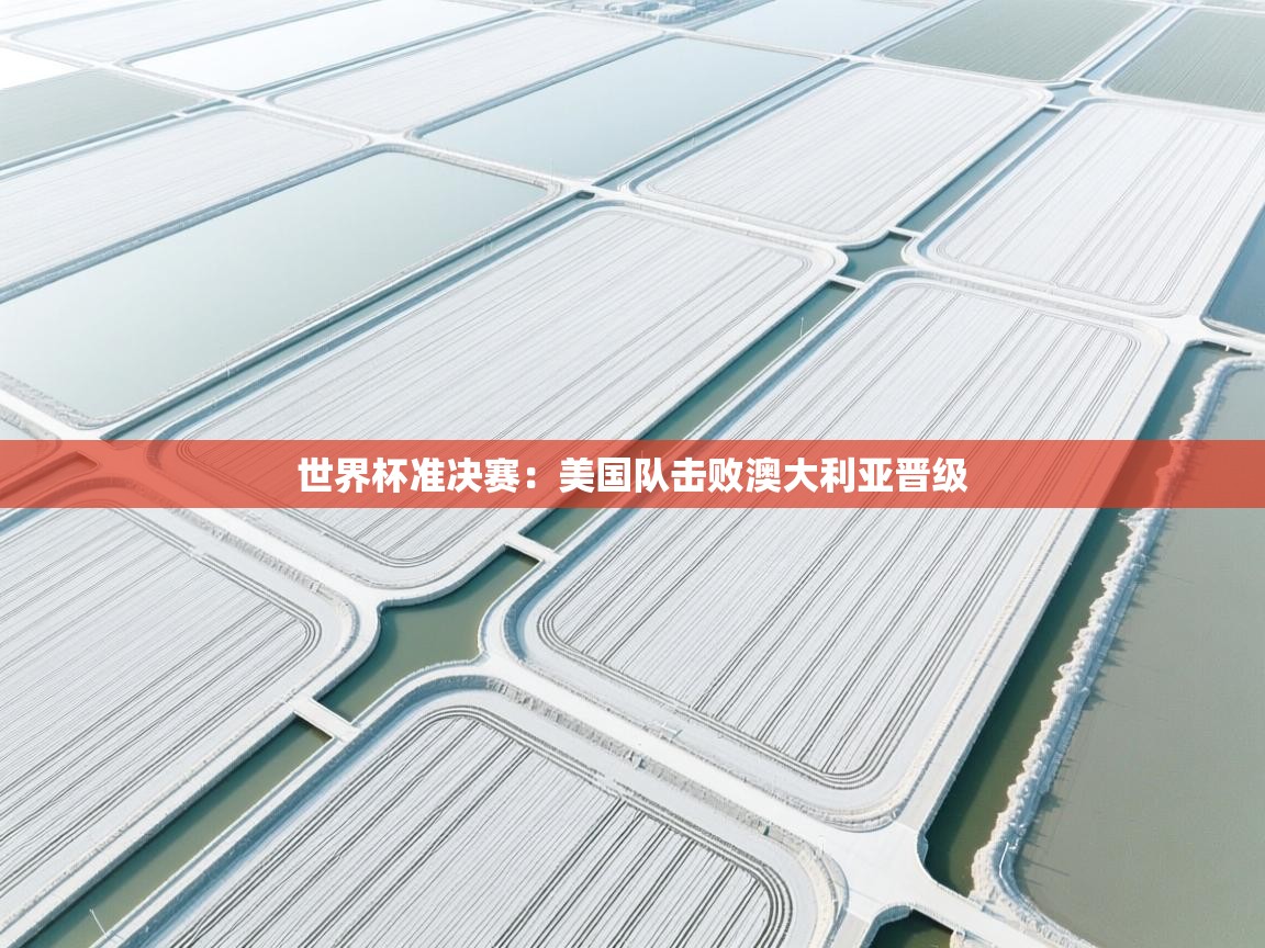 开云体育忘记密码找回-世界杯准决赛：美国队击败澳大利亚晋级  第2张