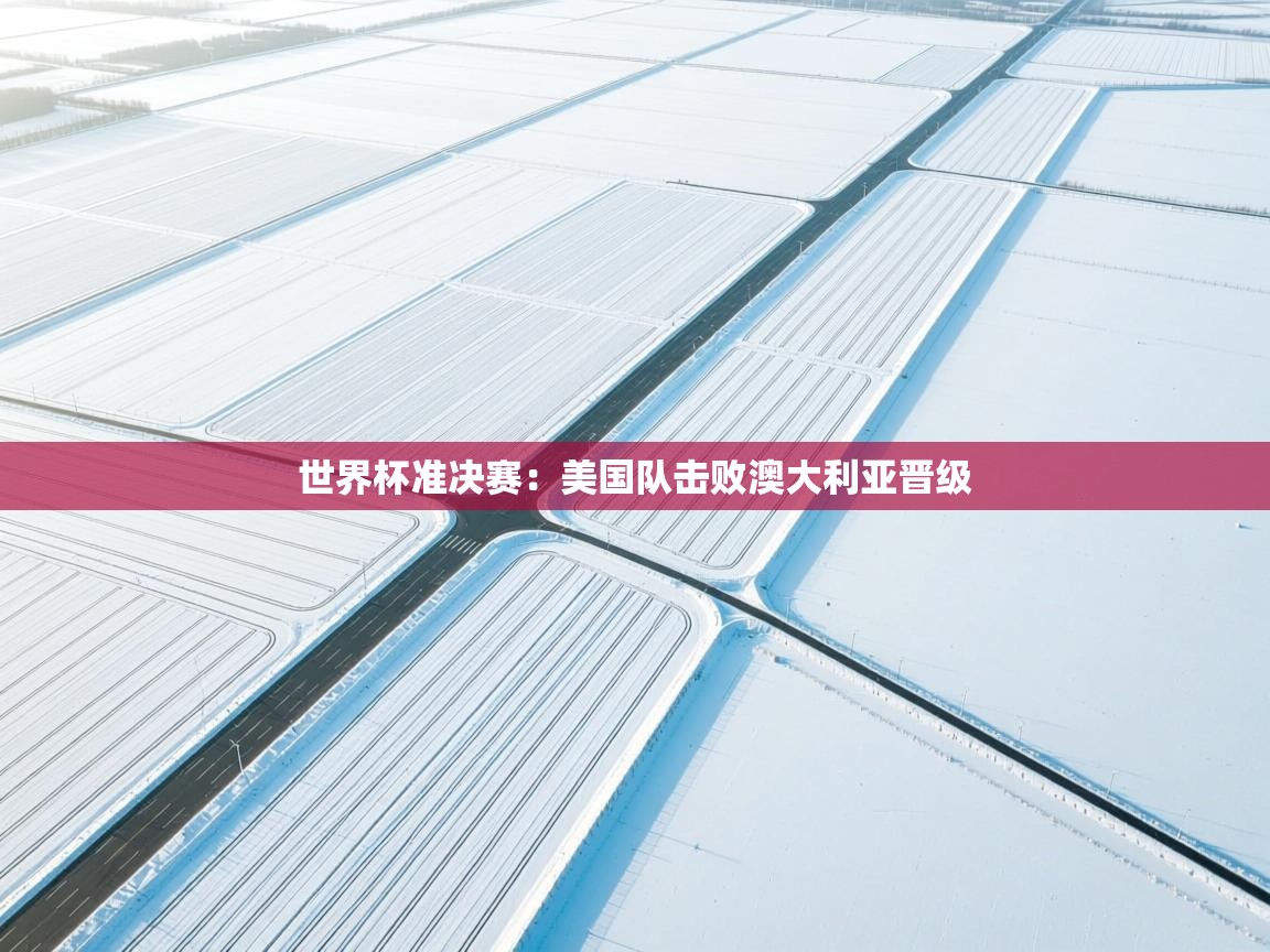 开云体育忘记密码找回-世界杯准决赛：美国队击败澳大利亚晋级  第1张