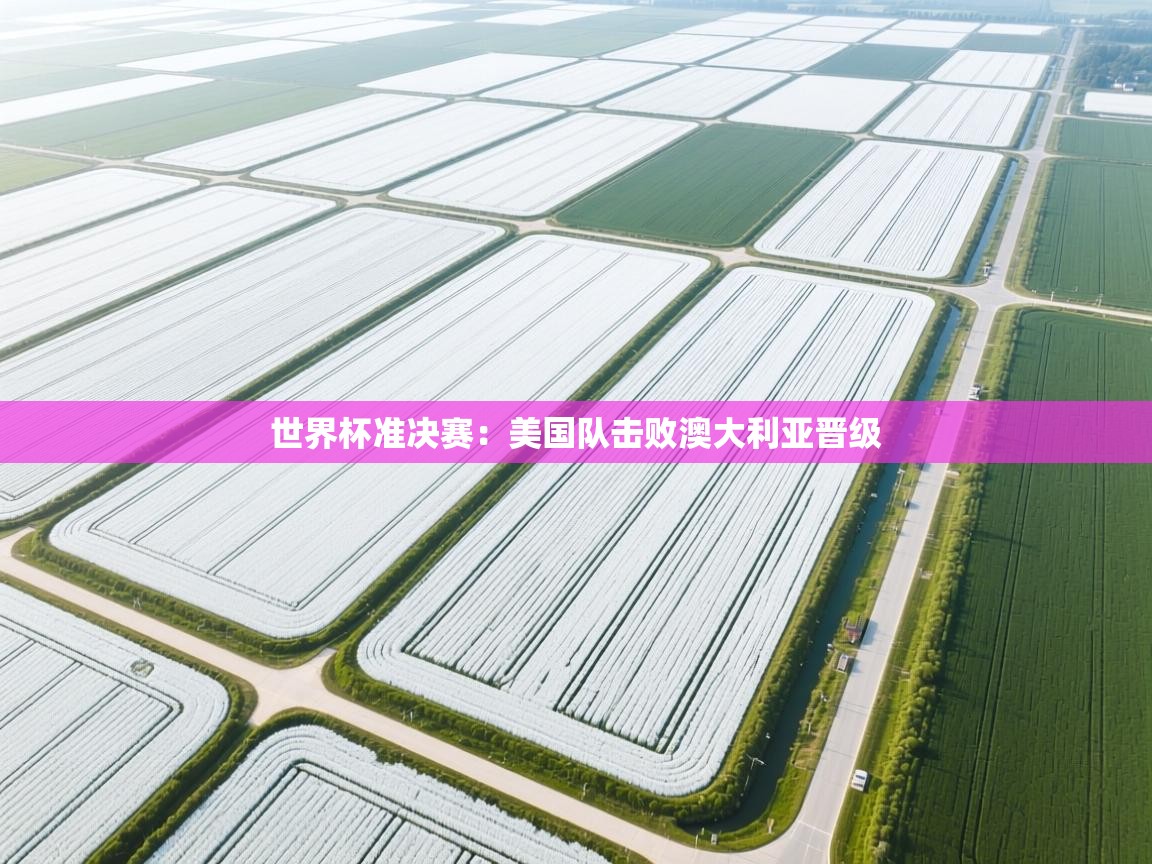 开云体育忘记密码找回-世界杯准决赛：美国队击败澳大利亚晋级  第4张