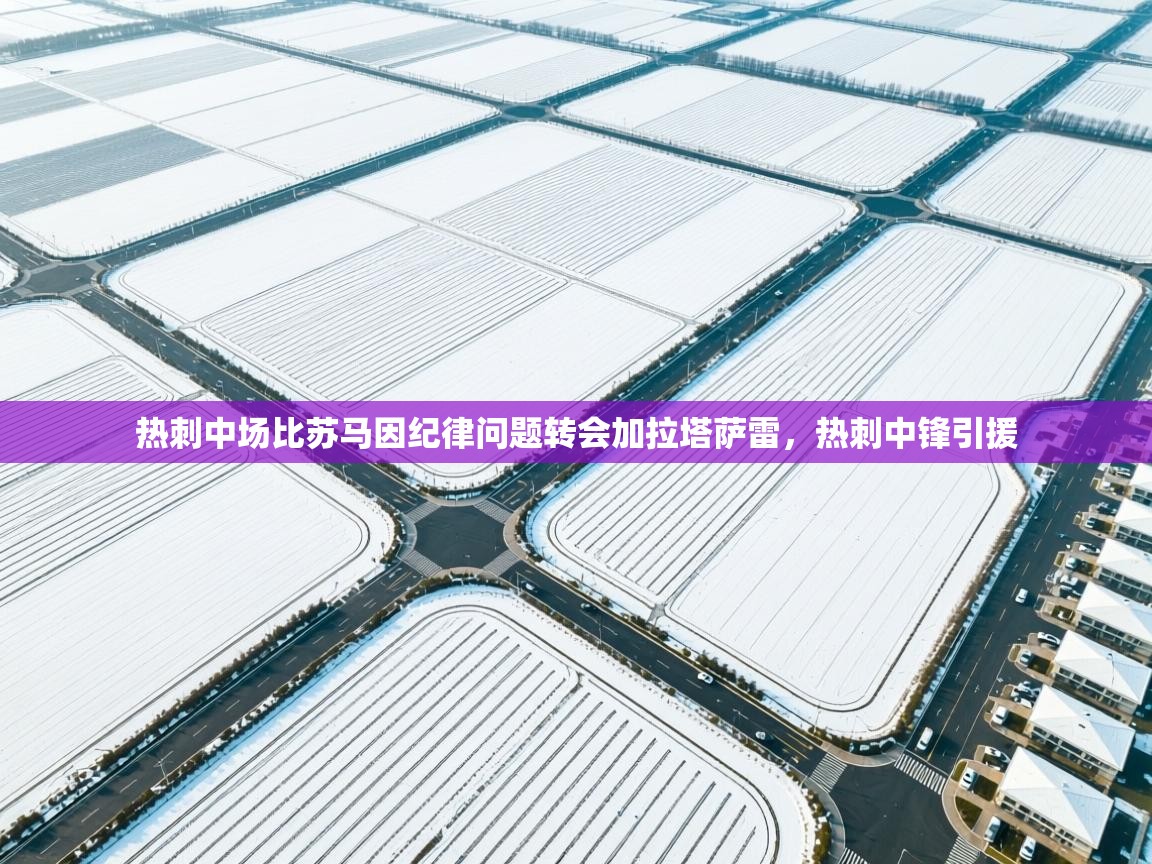 开云数据-热刺中场比苏马因纪律问题转会加拉塔萨雷，热刺中锋引援  第3张