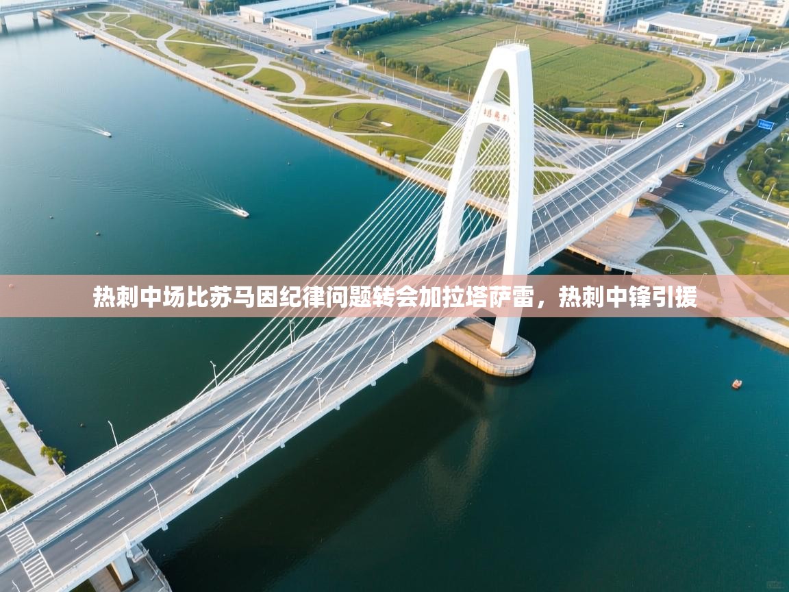 开云数据-热刺中场比苏马因纪律问题转会加拉塔萨雷，热刺中锋引援  第4张