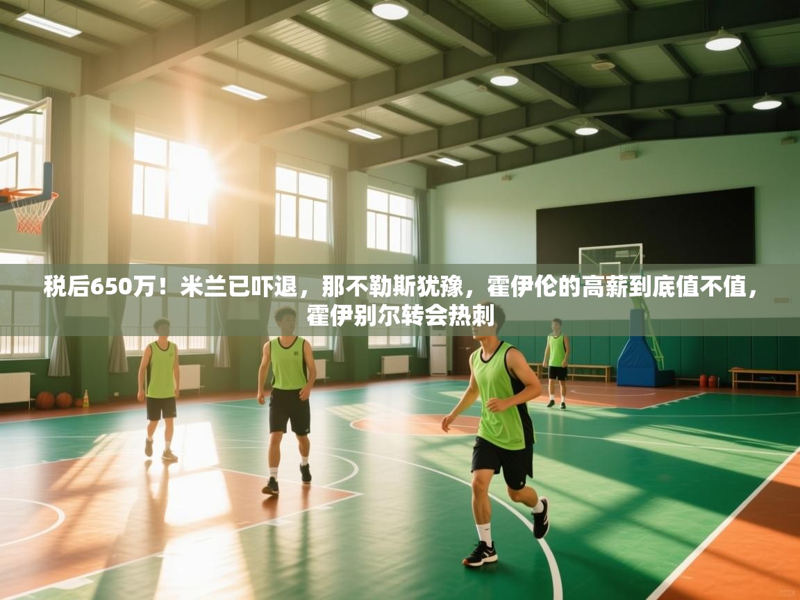 开云体育入口手机版-税后650万！米兰已吓退，那不勒斯犹豫，霍伊伦的高薪到底值不值，霍伊别尔转会热刺  第3张