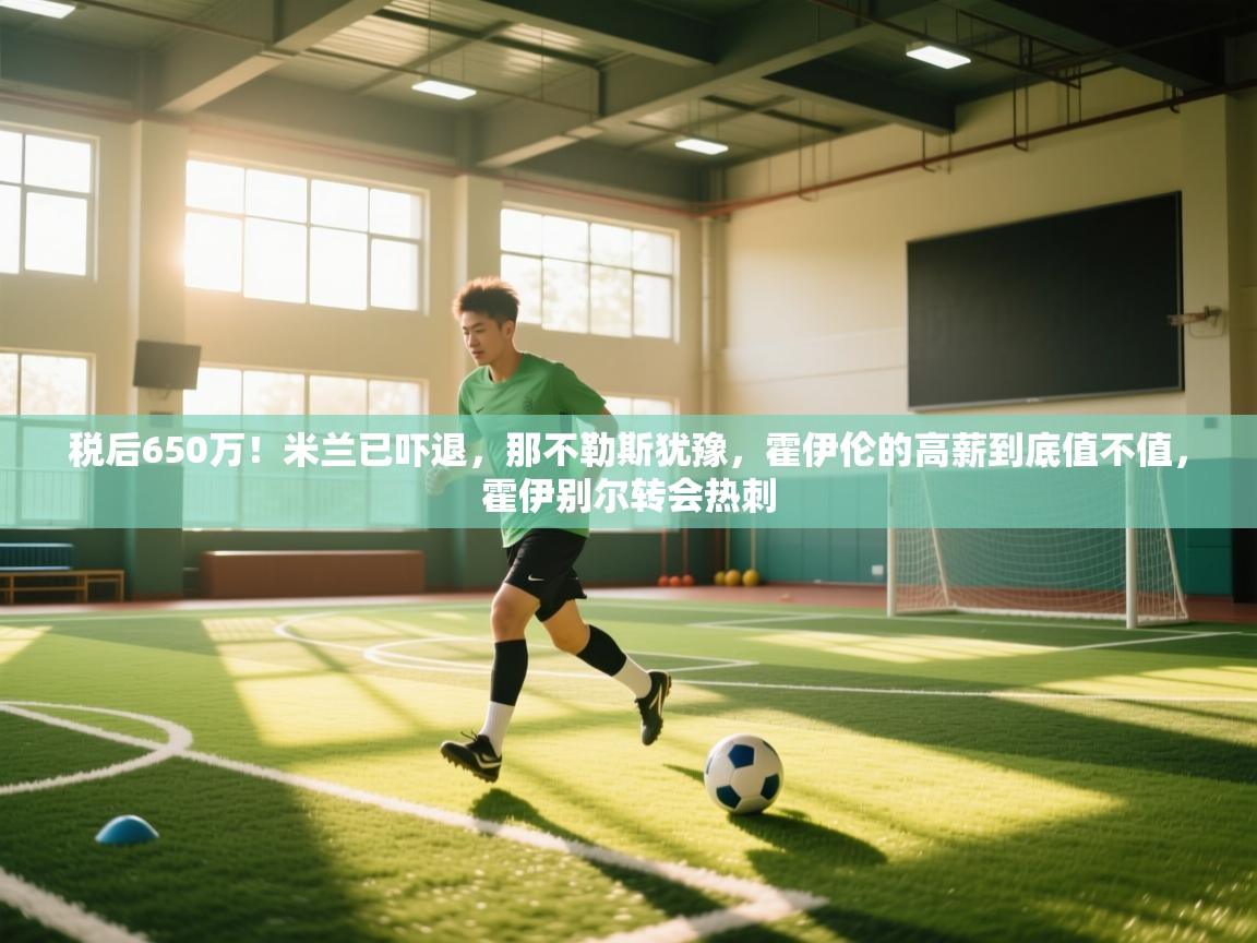 开云体育入口手机版-税后650万！米兰已吓退，那不勒斯犹豫，霍伊伦的高薪到底值不值，霍伊别尔转会热刺  第4张