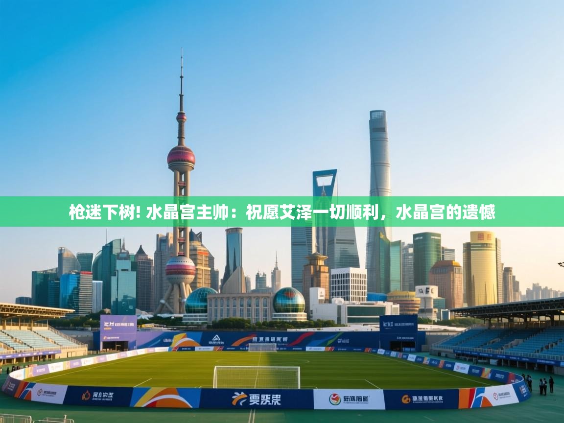 开云体育在线登录-枪迷下树! 水晶宫主帅：祝愿艾泽一切顺利，水晶宫的遗憾