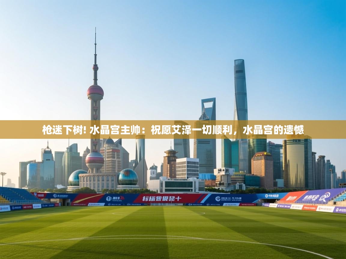 开云体育在线登录-枪迷下树! 水晶宫主帅:祝愿艾泽一切顺利,水晶宫的遗憾 第3张