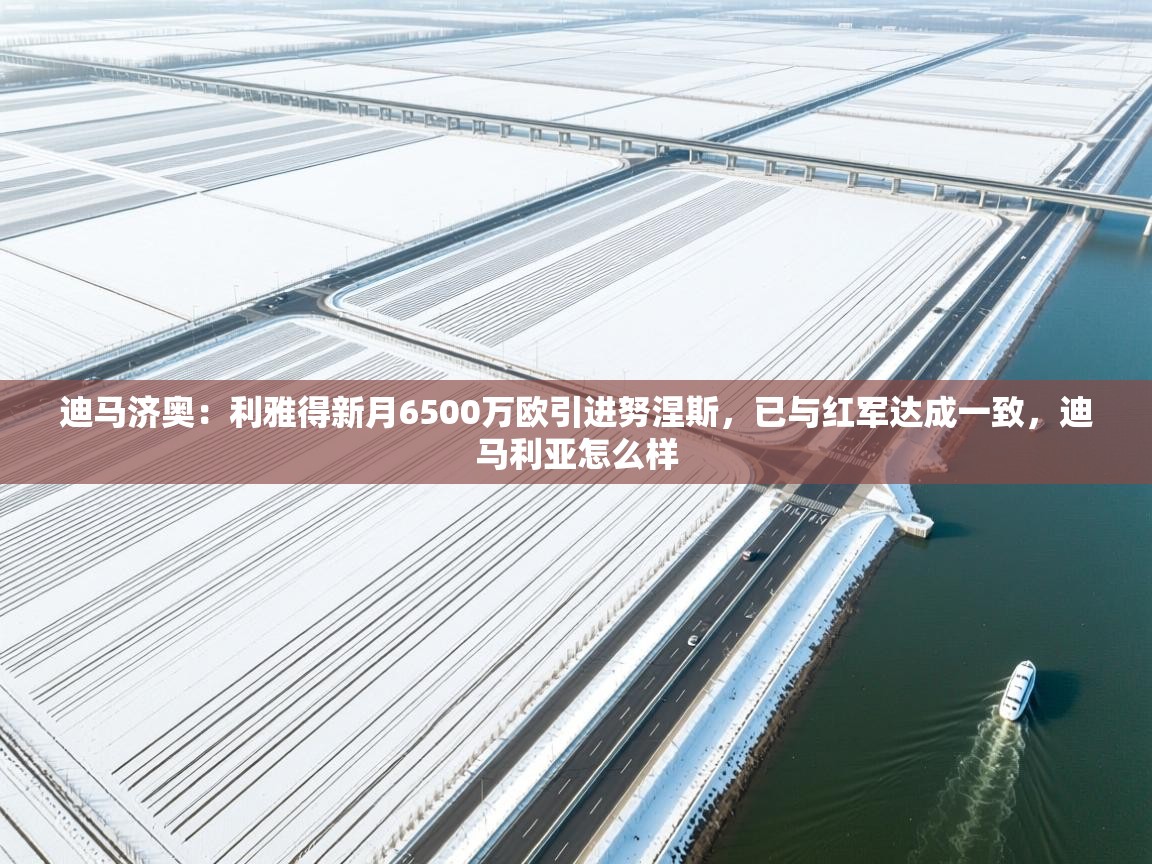 -迪马济奥：利雅得新月6500万欧引进努涅斯，已与红军达成一致，迪马利亚怎么样  第1张