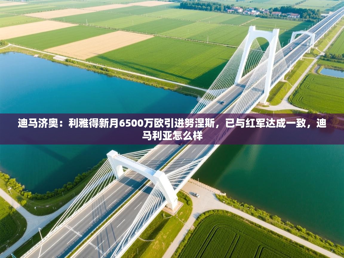-迪马济奥：利雅得新月6500万欧引进努涅斯，已与红军达成一致，迪马利亚怎么样  第4张