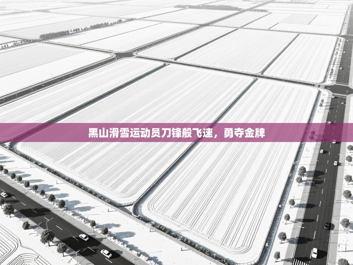 开云体育app下载入口-黑山滑雪运动员刀锋般飞速，勇夺金牌  第2张