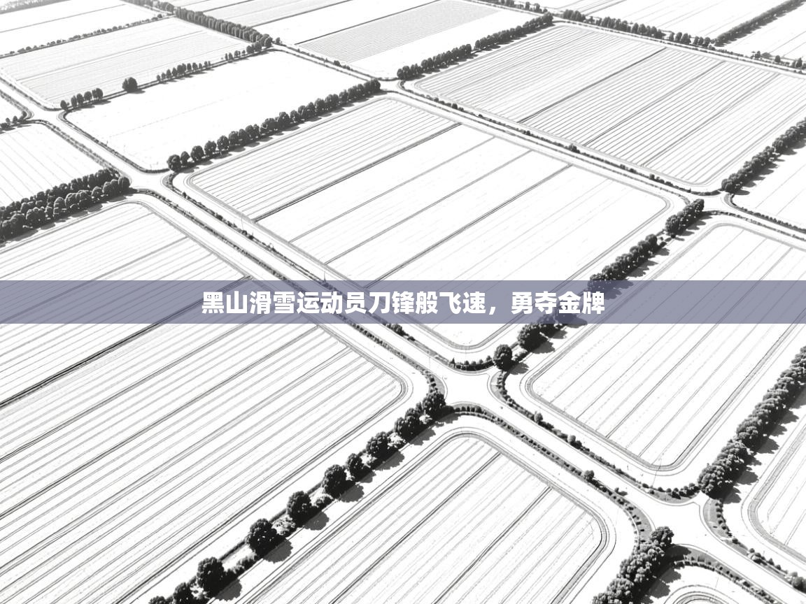 开云体育app下载入口-黑山滑雪运动员刀锋般飞速，勇夺金牌  第3张