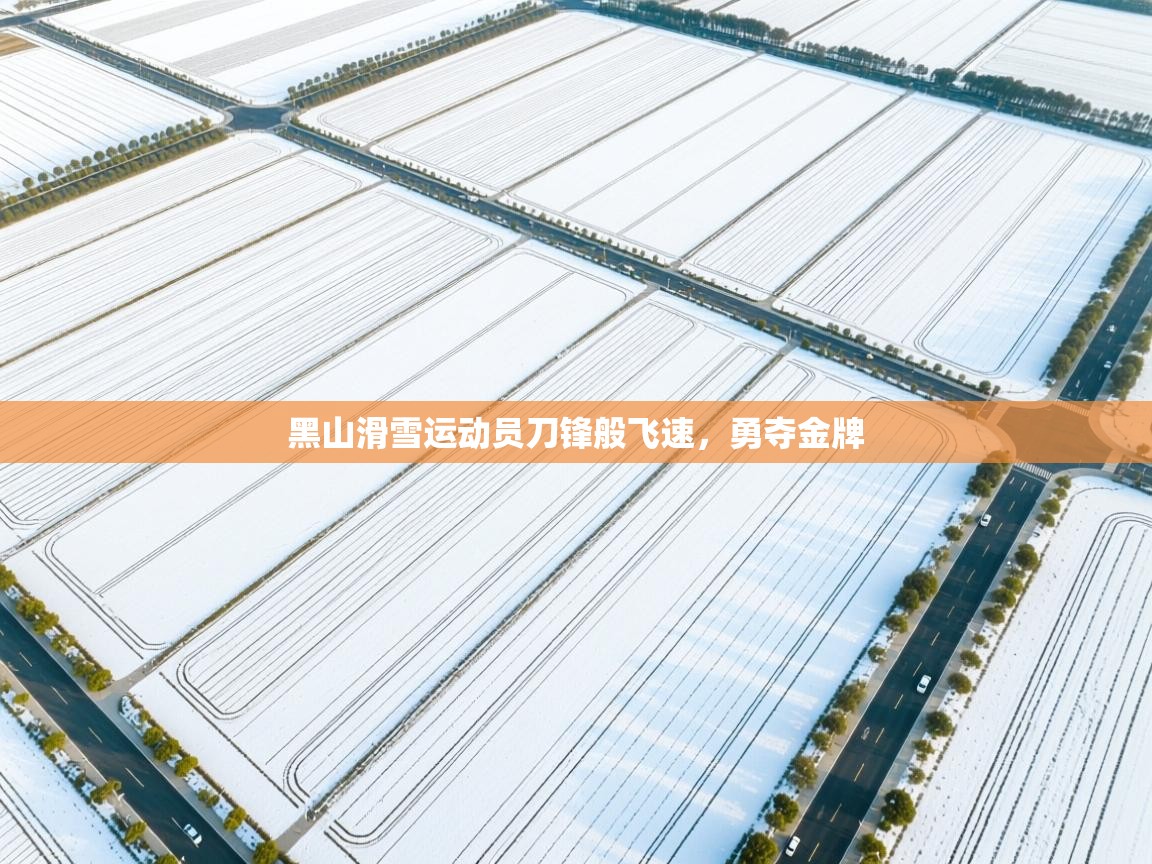 开云体育app下载入口-黑山滑雪运动员刀锋般飞速，勇夺金牌  第4张