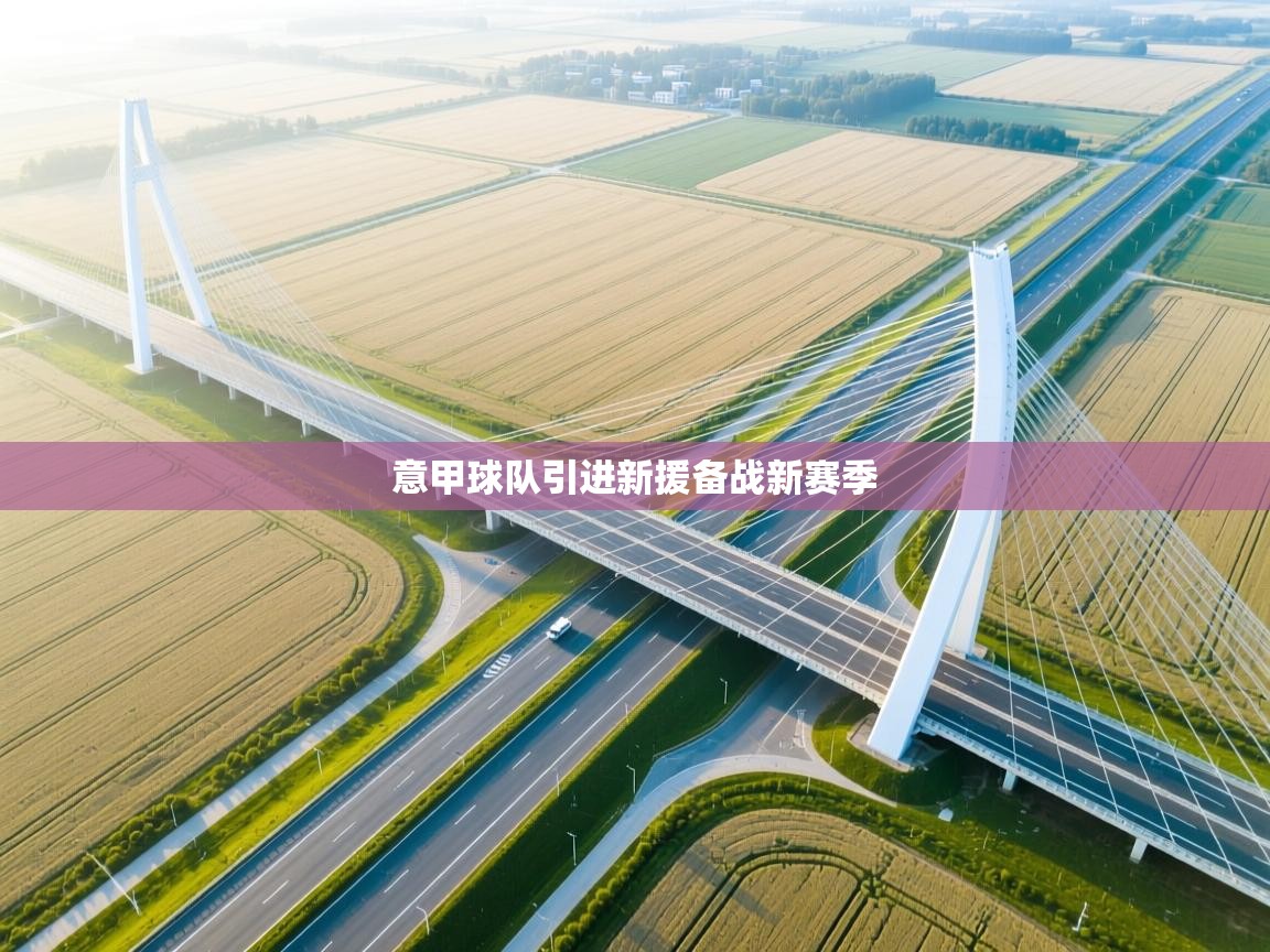 开云体育入口-意甲球队引进新援备战新赛季 第1张