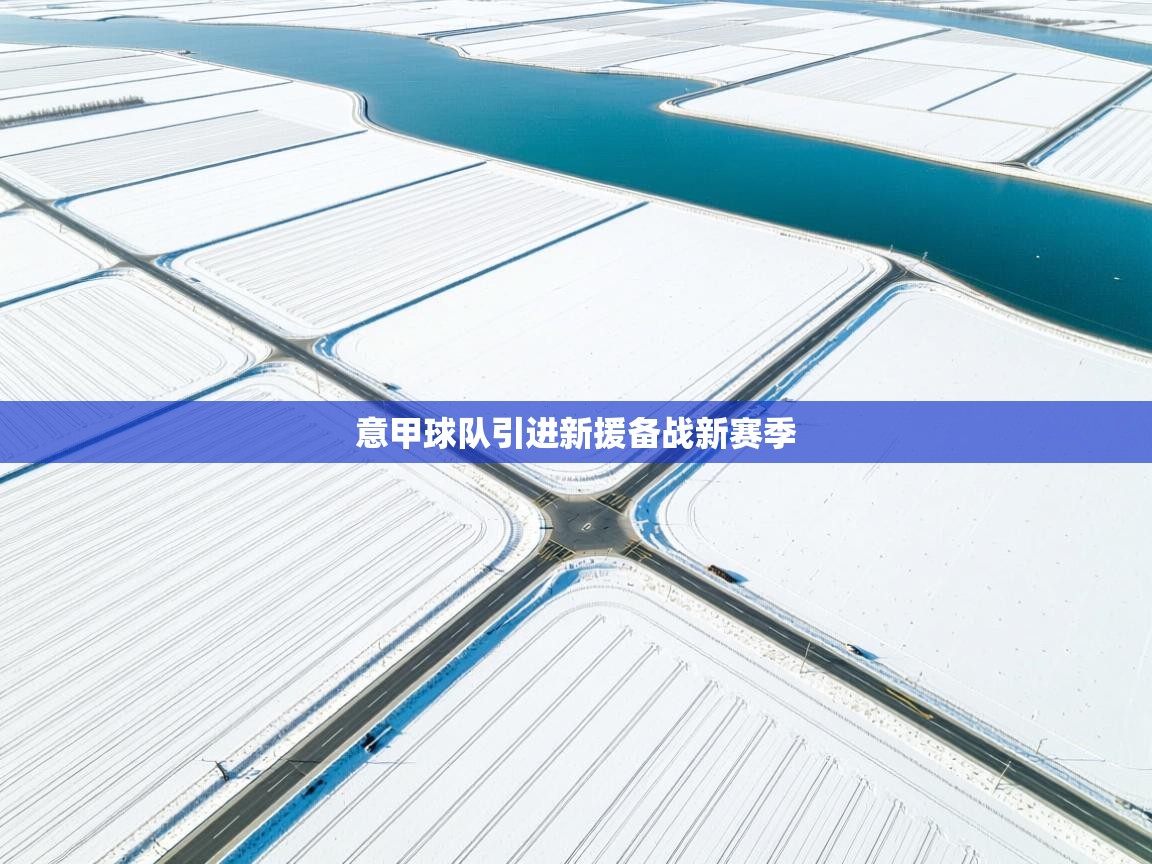 开云体育入口-意甲球队引进新援备战新赛季 第3张