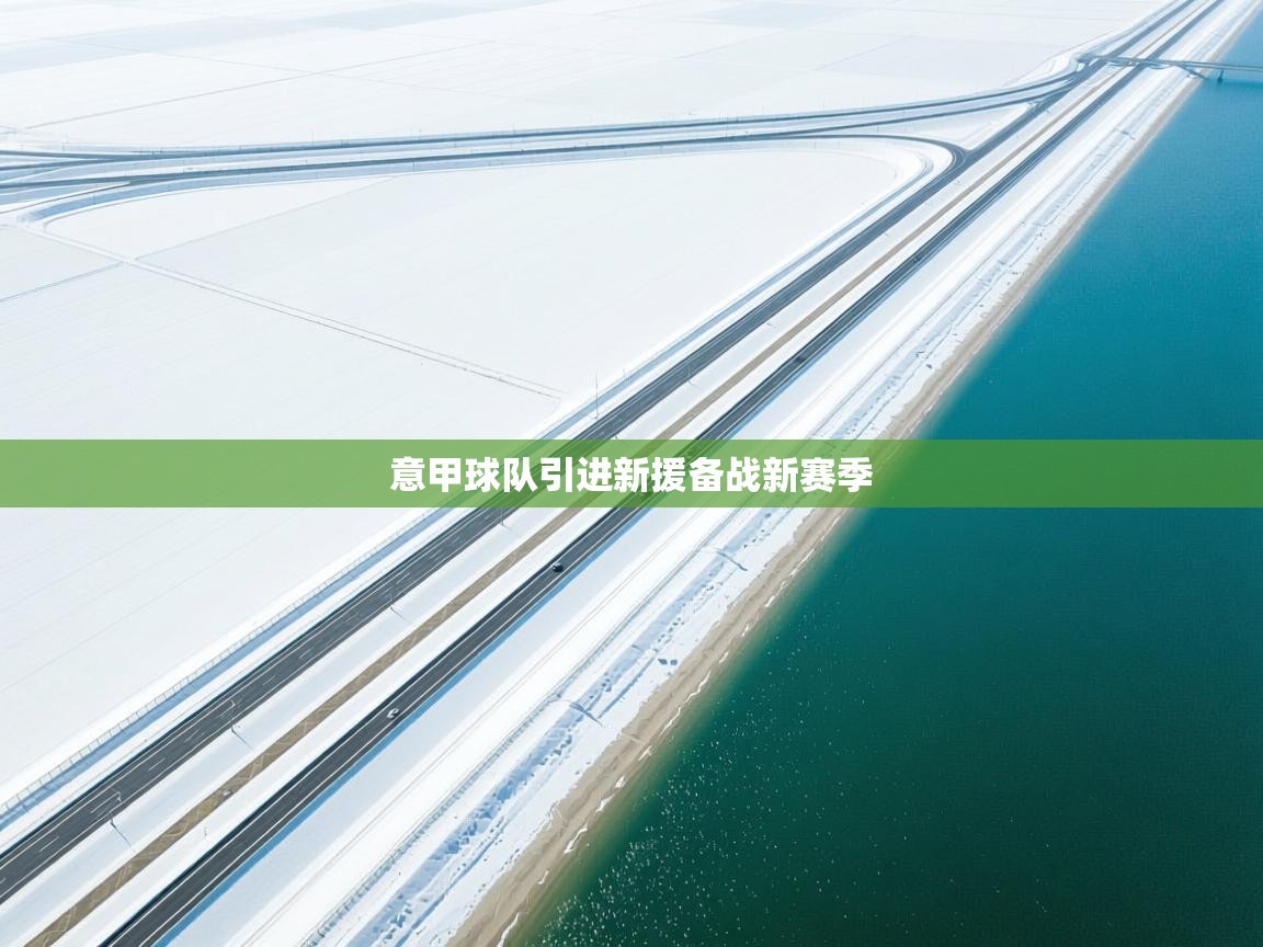 开云体育入口-意甲球队引进新援备战新赛季 第2张