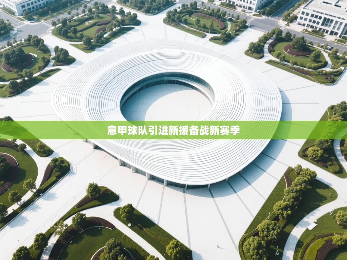 开云体育入口-意甲球队引进新援备战新赛季 第4张