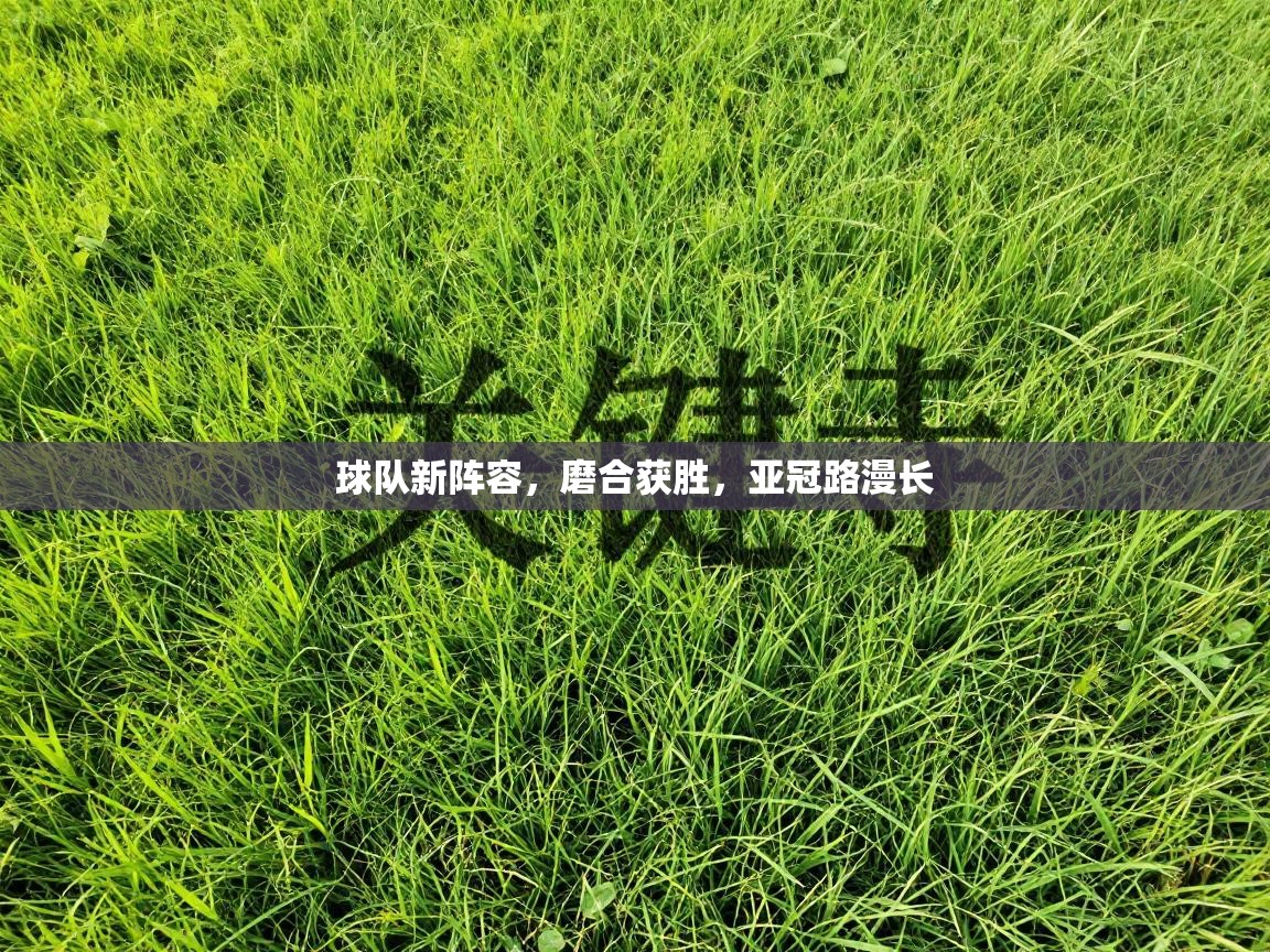 开云体育app官网入口-球队新阵容，磨合获胜，亚冠路漫长  第4张
