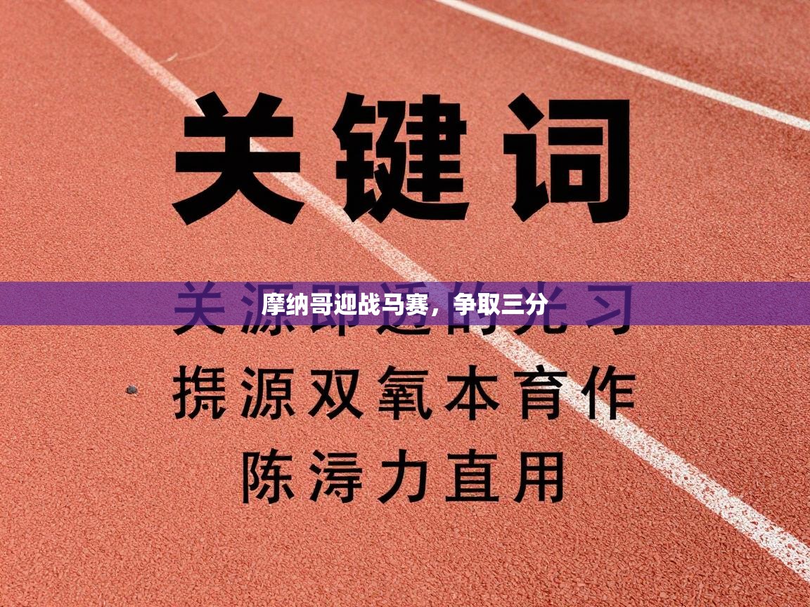 开云体育英文版入口-摩纳哥迎战马赛，争取三分  第2张