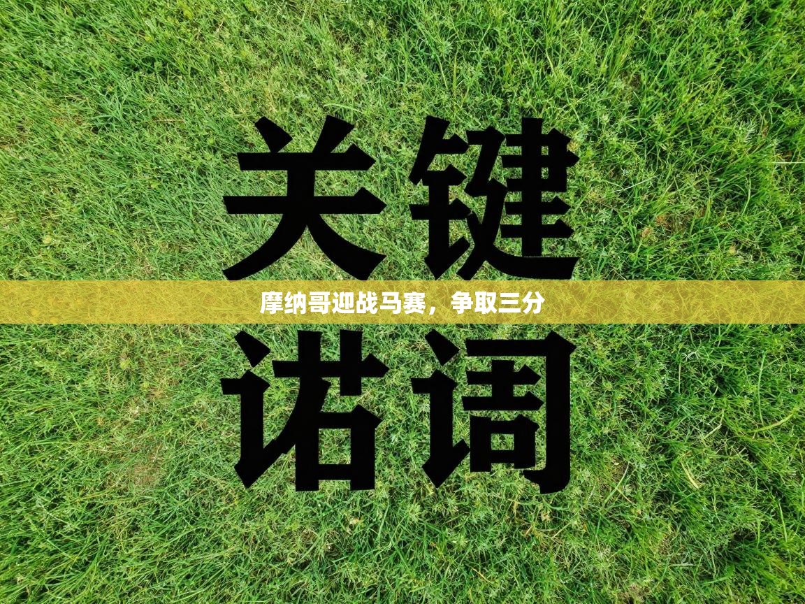开云体育英文版入口-摩纳哥迎战马赛，争取三分  第3张