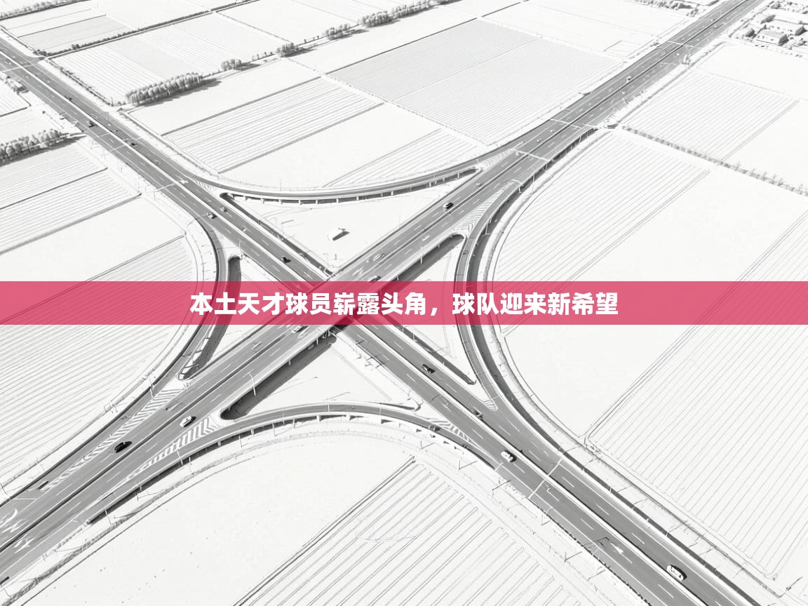 开云体育在线登入-本土天才球员崭露头角，球队迎来新希望  第2张