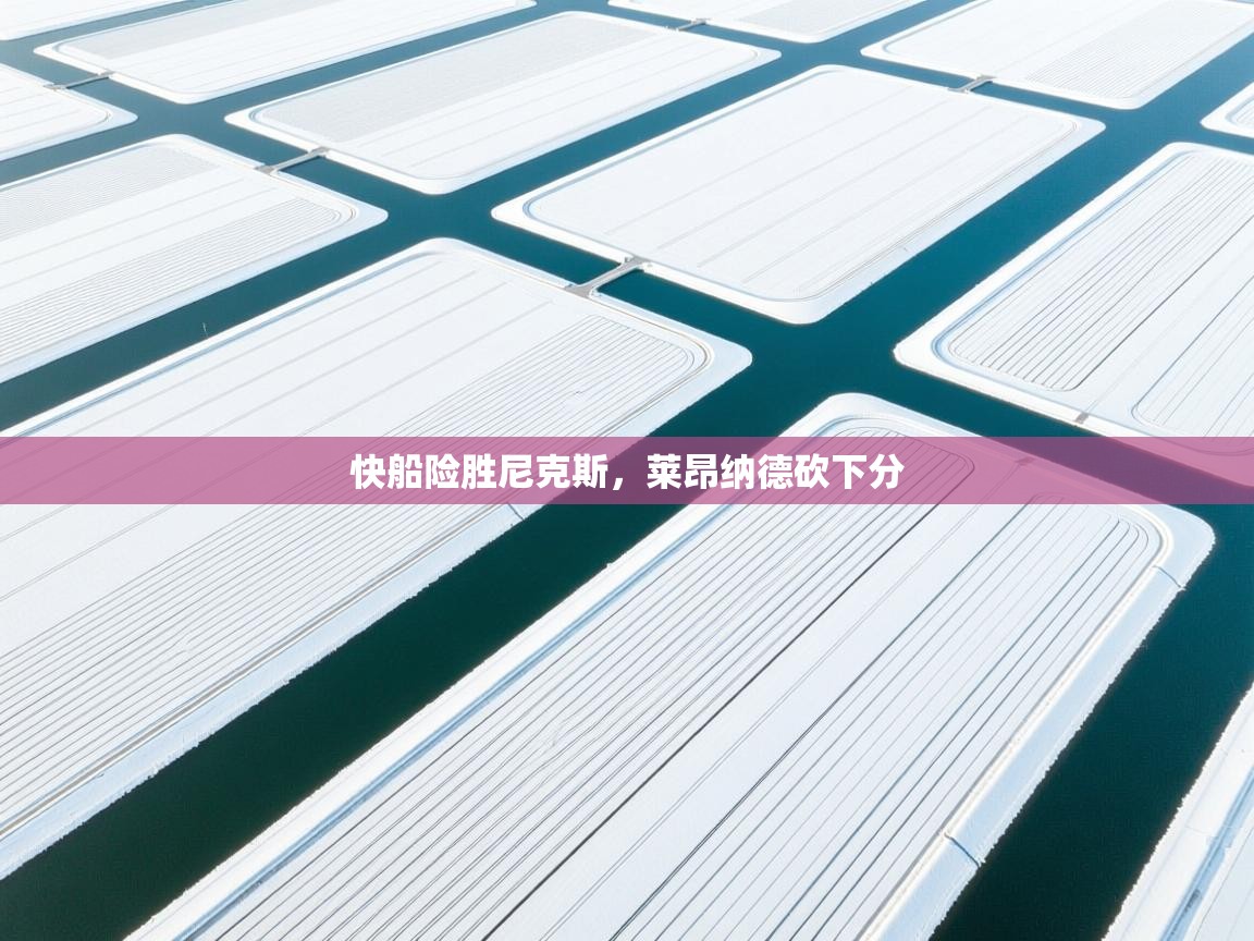 开云体育app投诉-快船险胜尼克斯,莱昂纳德砍下分 第4张