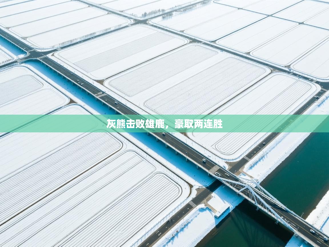 开云体育注册-灰熊击败雄鹿，豪取两连胜  第3张