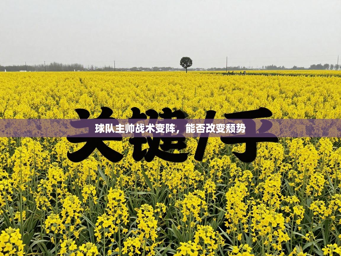 开云体育app-球队主帅战术变阵,能否改变颓势 第1张
