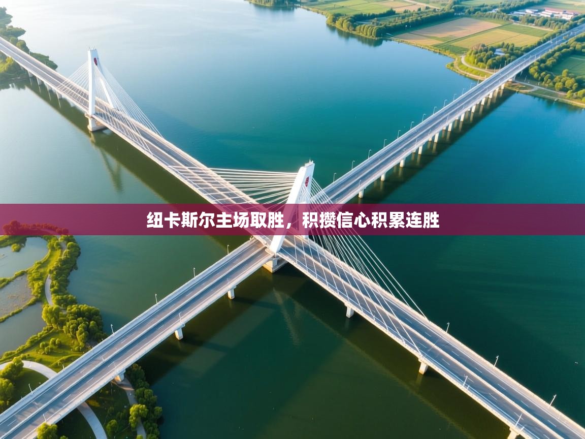 开云网页版-纽卡斯尔主场取胜,积攒信心积累连胜 第1张