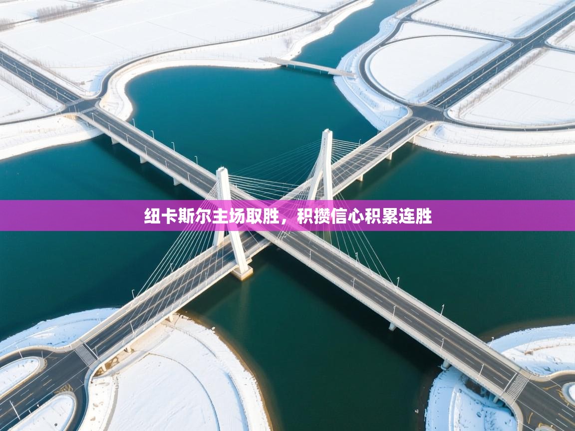 开云网页版-纽卡斯尔主场取胜,积攒信心积累连胜 第3张