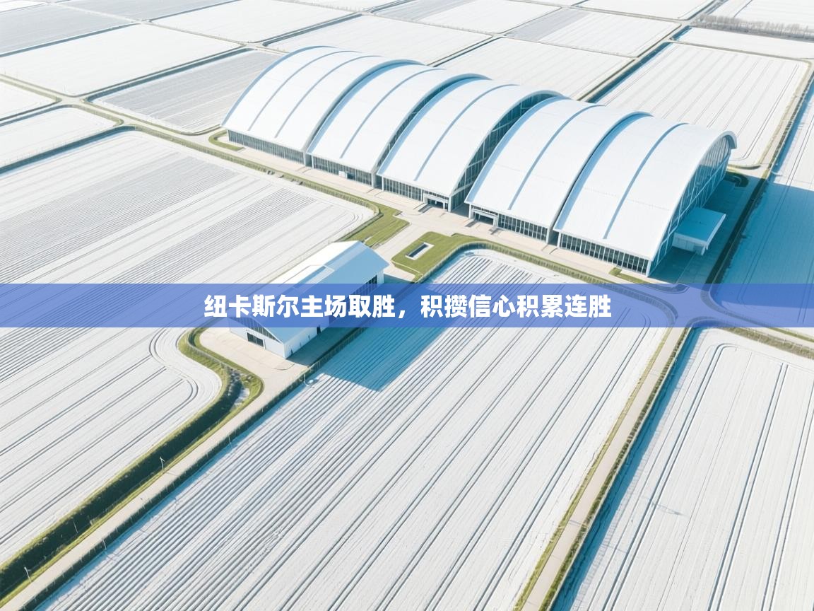 开云网页版-纽卡斯尔主场取胜,积攒信心积累连胜 第4张