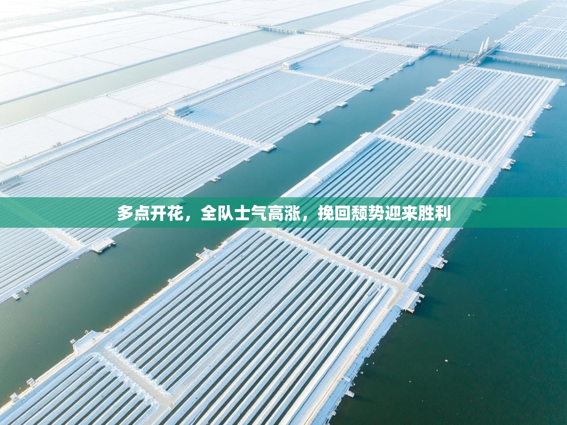 开云体育入口下载-多点开花，全队士气高涨，挽回颓势迎来胜利  第1张