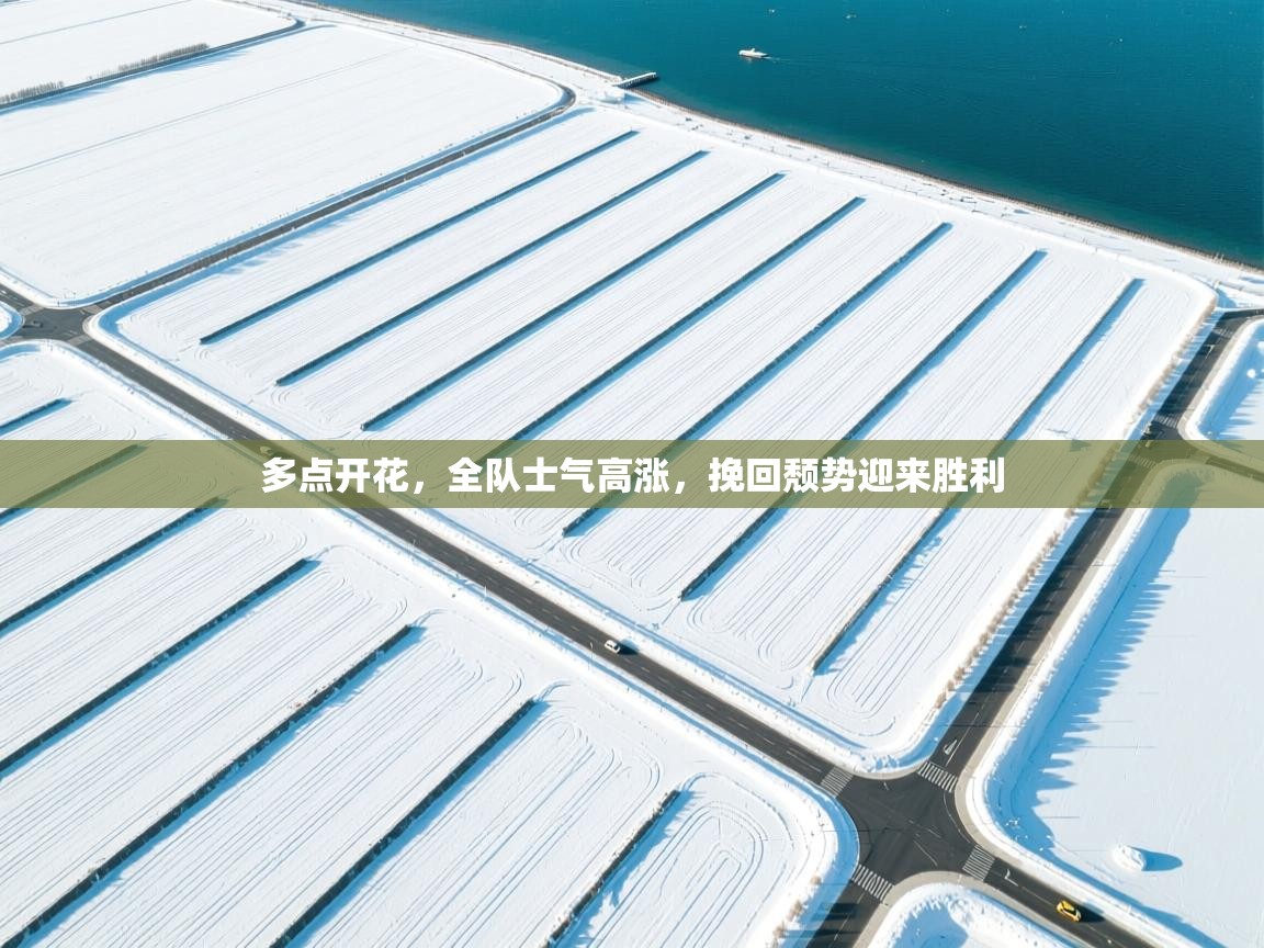 开云体育入口下载-多点开花，全队士气高涨，挽回颓势迎来胜利  第4张