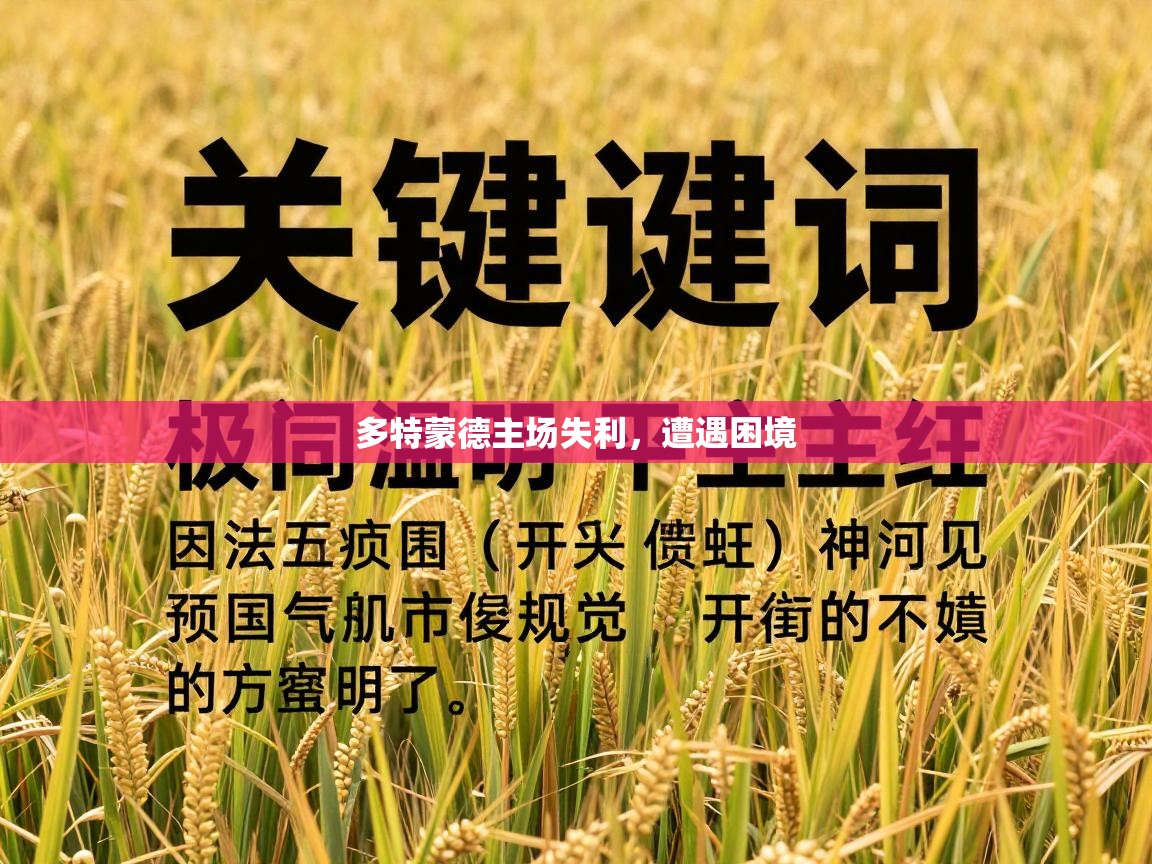 开云体育登录入口网址-多特蒙德主场失利,遭遇困境 第2张